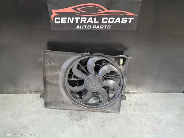 Fan