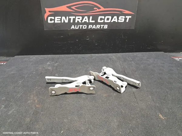 Bonnet Hinge/Strut