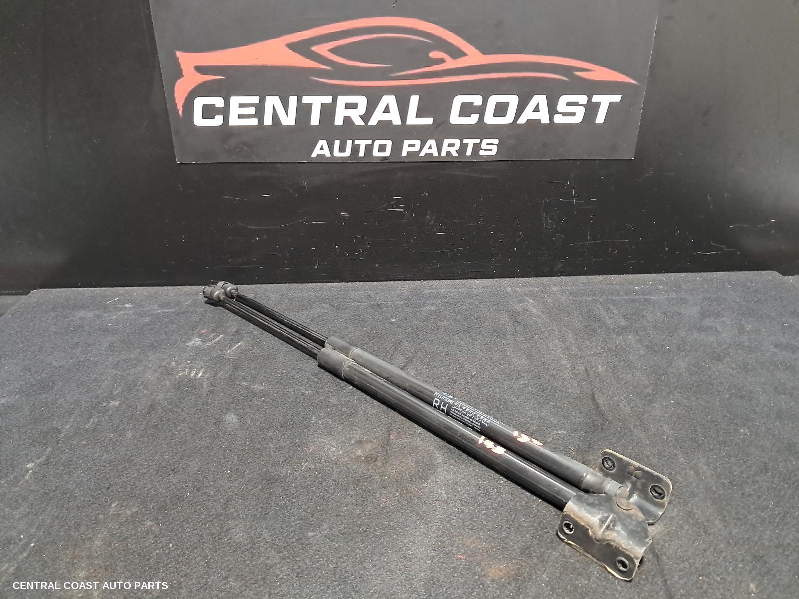 Hatch Strut