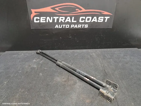 Hatch Strut