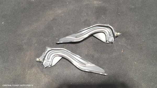 Bonnet Hinge/Strut