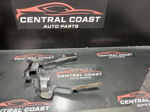 Bonnet Hinge/Strut