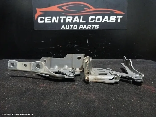 Bonnet Hinge/Strut