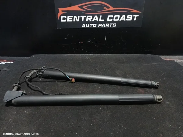 Hatch Strut