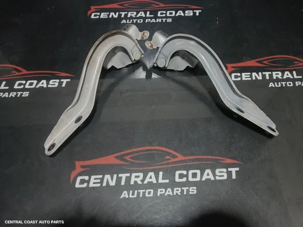 Bonnet Hinge/Strut
