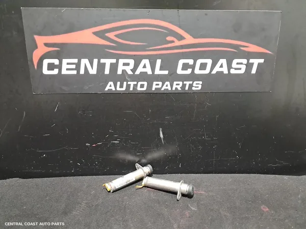Bonnet Hinge/Strut