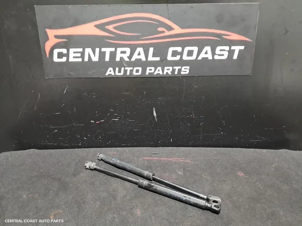 Bonnet Hinge/Strut