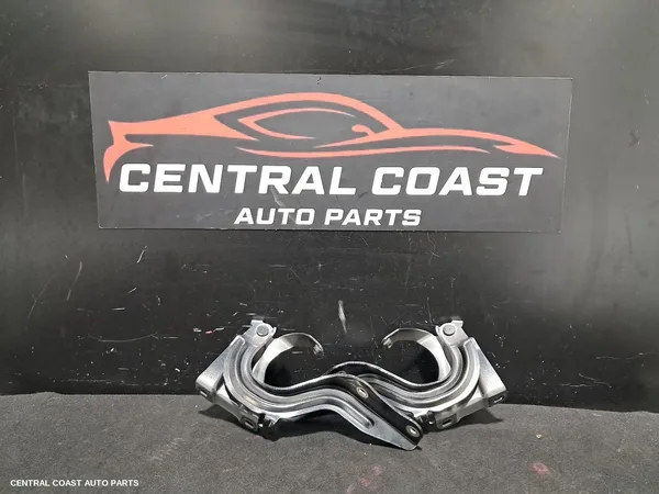 Bonnet Hinge/Strut