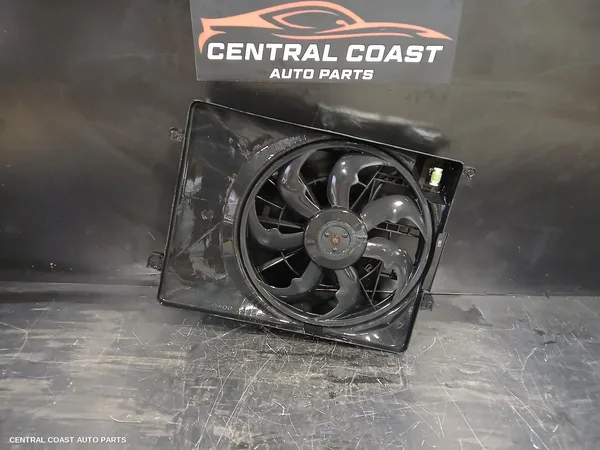 Fan
