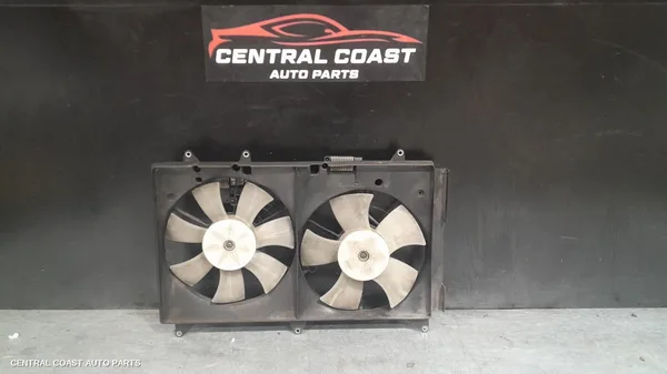 Fan