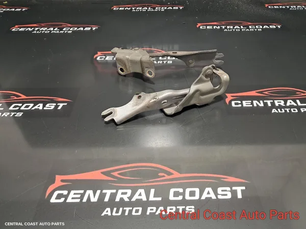 Bonnet Hinge/Strut
