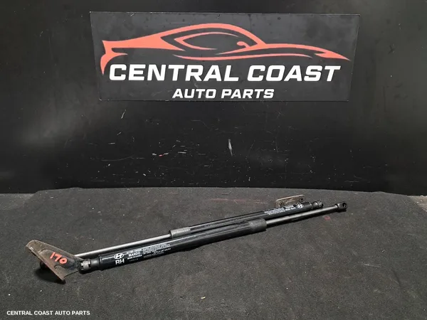 Hatch Strut