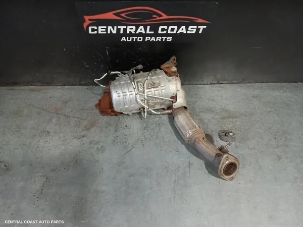 Particulate Filter/Dpf