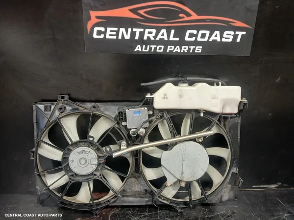 Fan