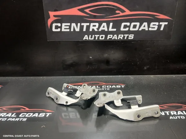 Bonnet Hinge/Strut