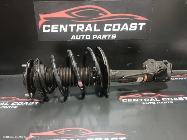Left Front Strut