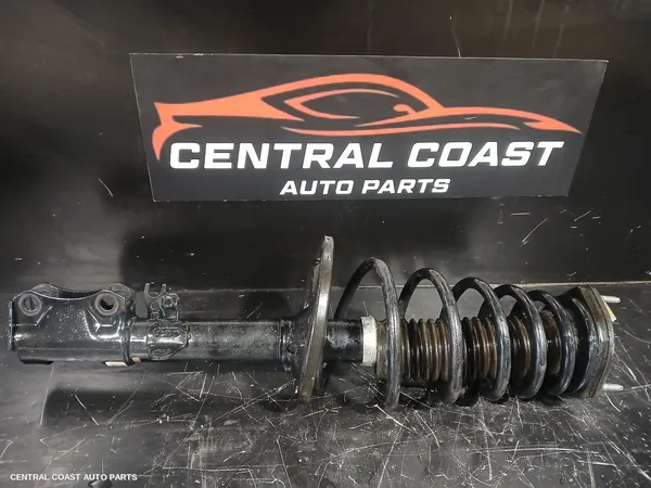 Left Rear Strut