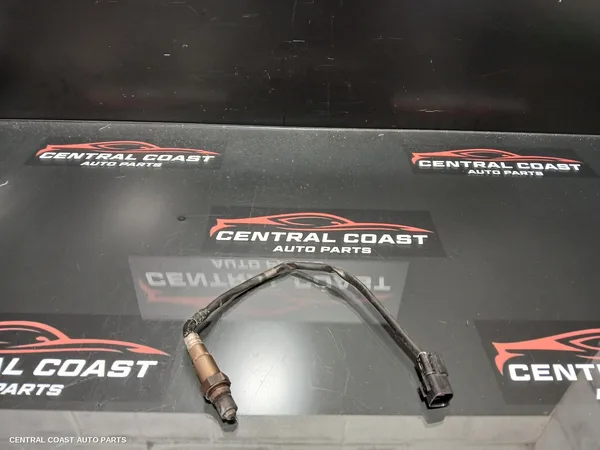 Oxygen Sensor