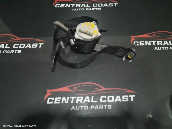 Seatbelt/Stalk