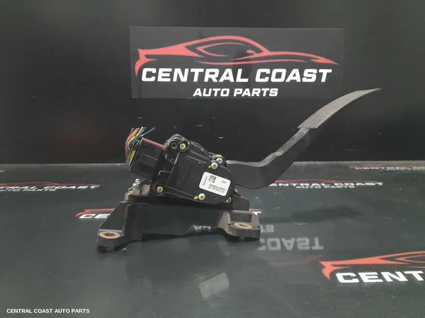 Pedal Assembly