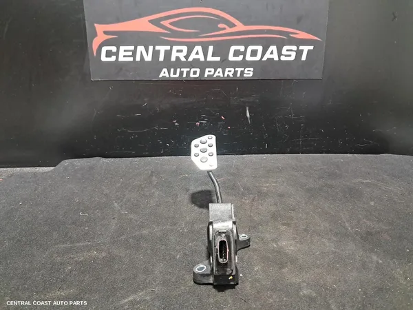 Pedal Assembly