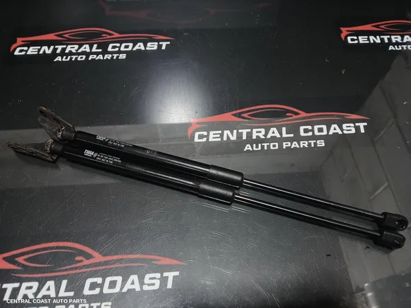 Hatch Strut