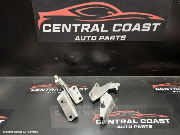 Bonnet Hinge/Strut
