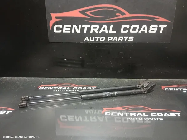 Hatch Strut