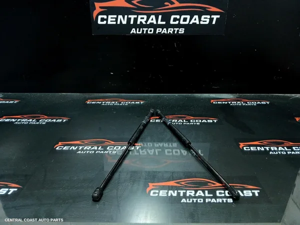 Bonnet Hinge/Strut