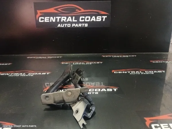 Bonnet Hinge/Strut