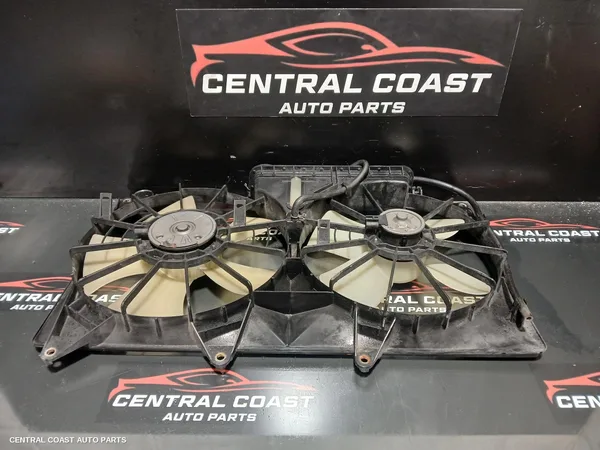 Fan
