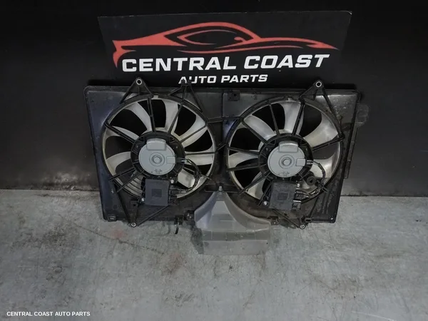 Fan