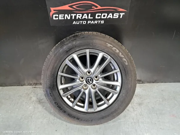 Wheel Mag
