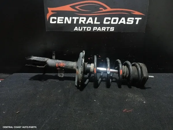 Left Rear Strut