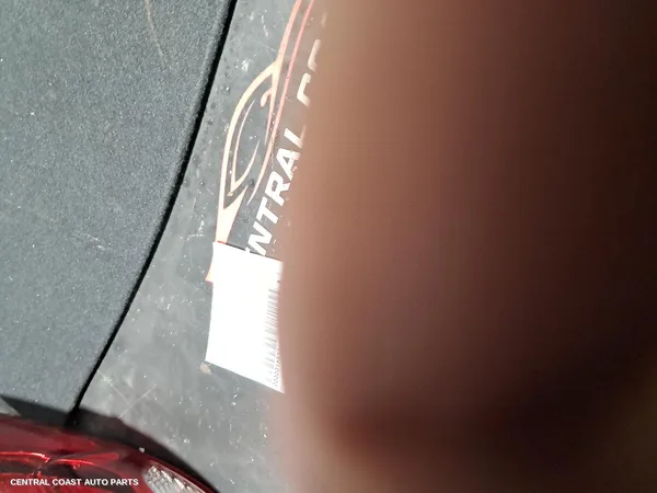 Left Taillight