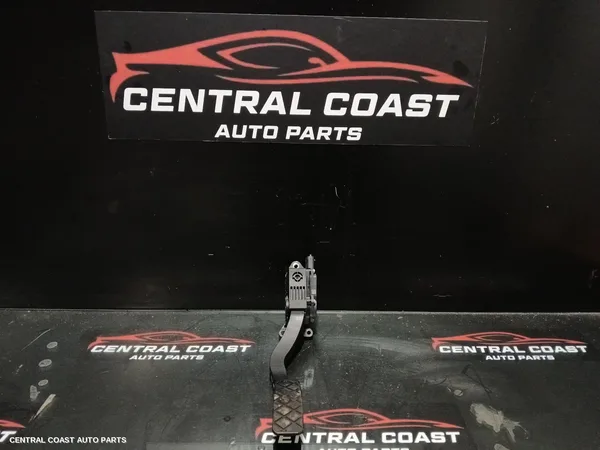 Pedal Assembly