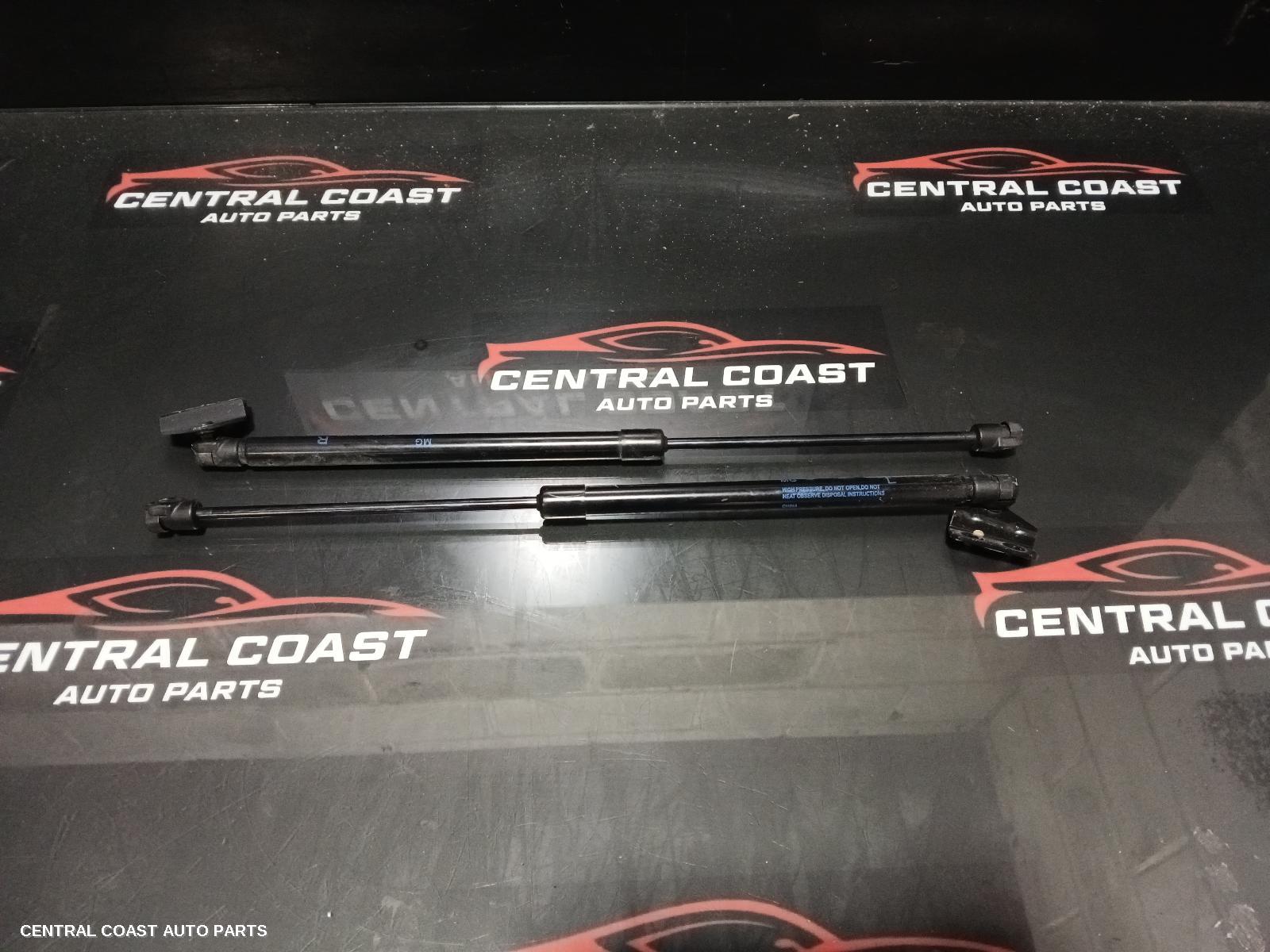 Hatch Strut