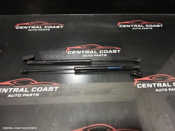 Hatch Strut