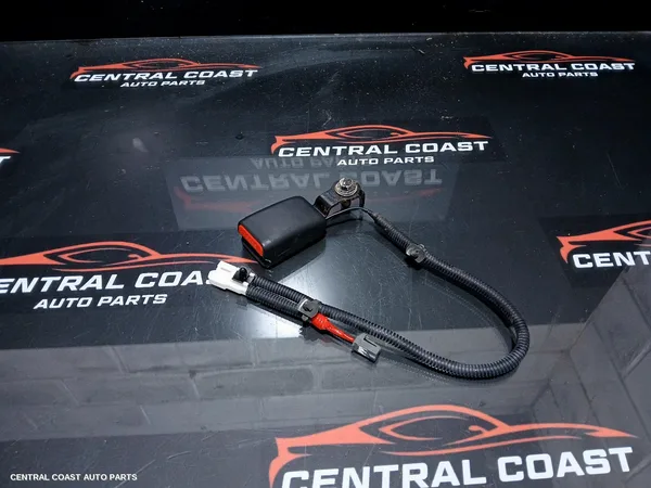 Seatbelt/Stalk