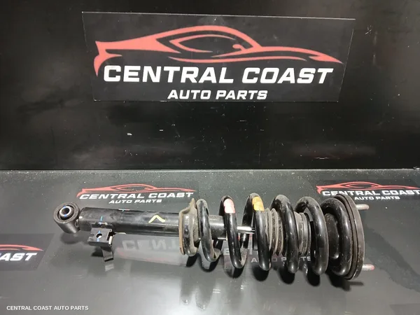 Left Front Strut