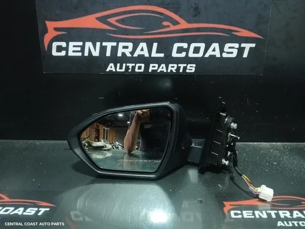 Left Door Mirror