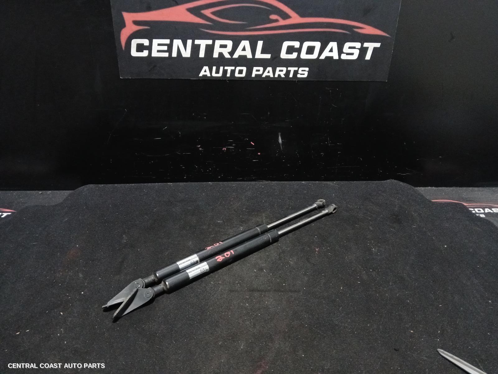 Hatch Strut