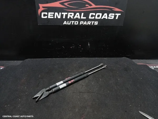 Hatch Strut
