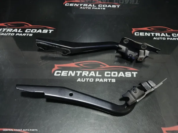Bonnet Hinge/Strut