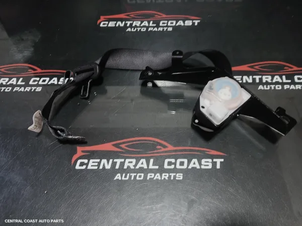 Seatbelt/Stalk