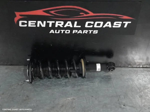 Left Rear Strut