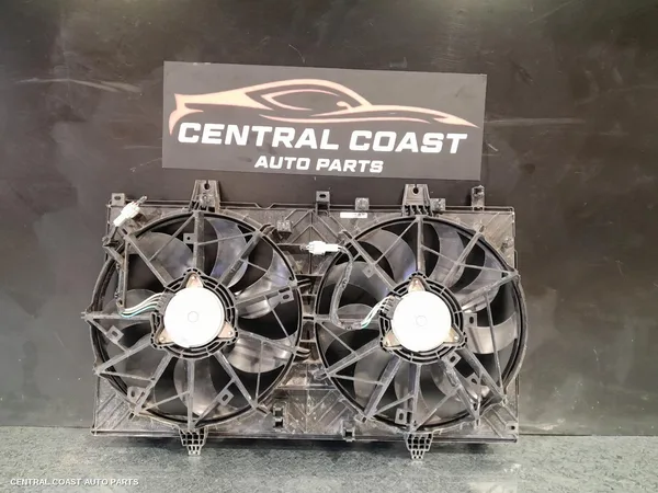Fan