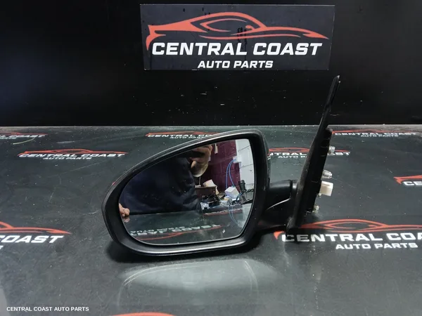 Left Door Mirror