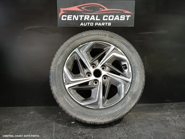 Wheel Mag