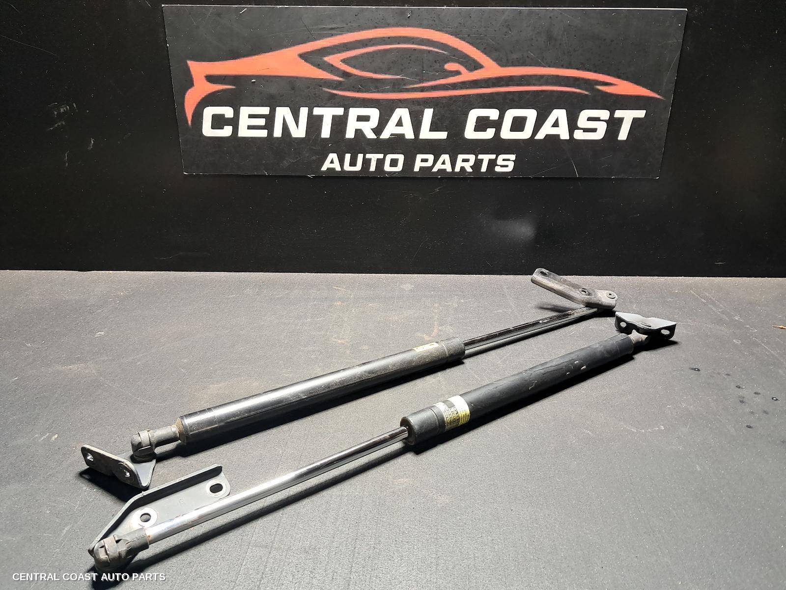 Hatch Strut
